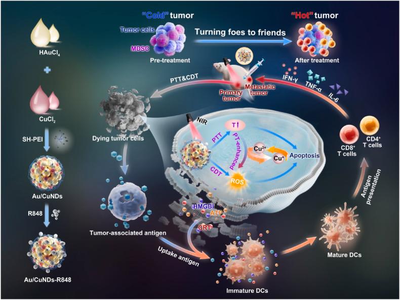 https://cdn.ncbi.nlm.nih.gov/pmc/blobs/2a82/11179173/559aaadfc4e8/sc1.jpg
