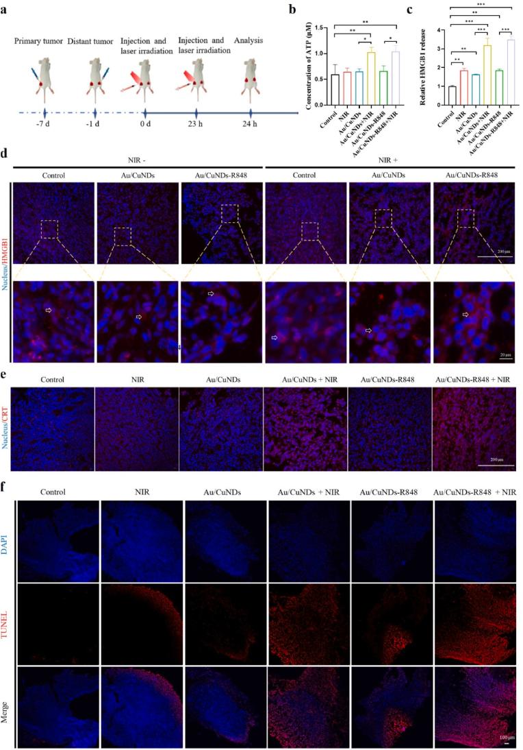 https://cdn.ncbi.nlm.nih.gov/pmc/blobs/2a82/11179173/84ba35a78678/gr7.jpg