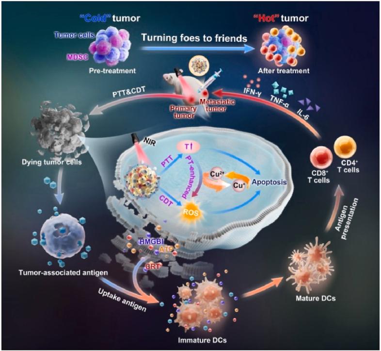 https://cdn.ncbi.nlm.nih.gov/pmc/blobs/2a82/11179173/fcaca58ff229/ga1.jpg