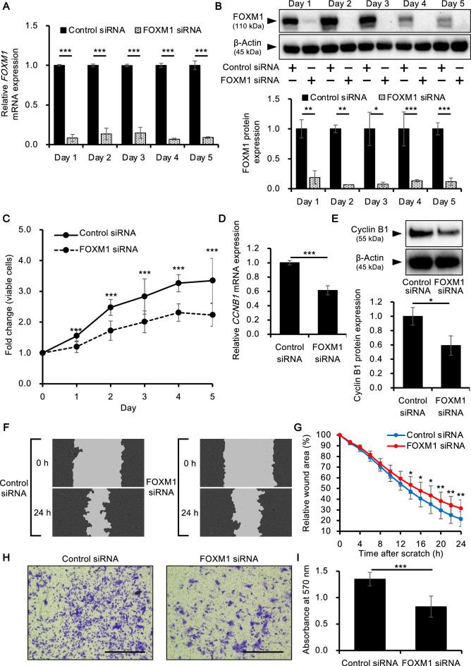 https://cdn.ncbi.nlm.nih.gov/pmc/blobs/2a83/10876583/dba5c9e16bf2/41598_2024_54773_Fig4_HTML.jpg