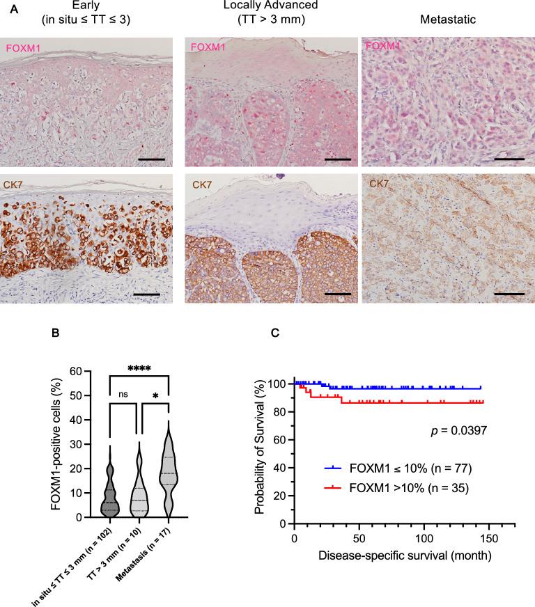 https://cdn.ncbi.nlm.nih.gov/pmc/blobs/2a83/10876583/fc7aab0662fc/41598_2024_54773_Fig1_HTML.jpg