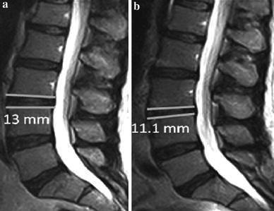 https://cdn.ncbi.nlm.nih.gov/pmc/blobs/2a85/4417871/a3719f19f3a4/10195_2012_213_Fig2_HTML.jpg
