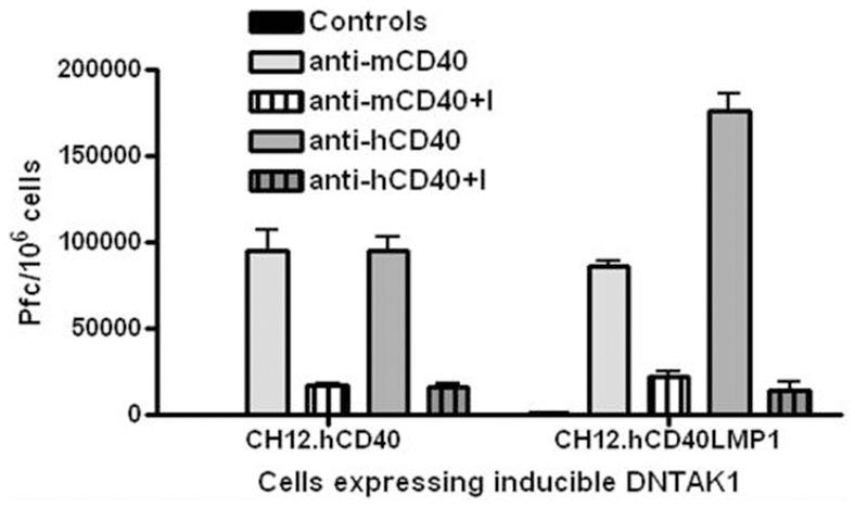 https://cdn.ncbi.nlm.nih.gov/pmc/blobs/2a88/3408473/0ab615c72962/pone.0042478.g002.jpg