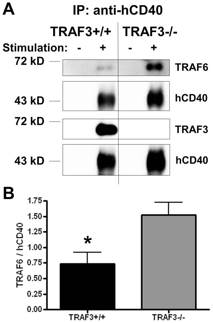 https://cdn.ncbi.nlm.nih.gov/pmc/blobs/2a88/3408473/0ae34e8f036b/pone.0042478.g006.jpg