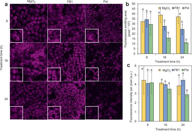 https://cdn.ncbi.nlm.nih.gov/pmc/blobs/2a8f/7316715/544f4afb40fc/41598_2020_65186_Fig4_HTML.jpg