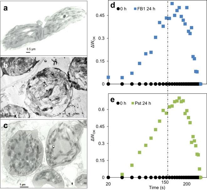 https://cdn.ncbi.nlm.nih.gov/pmc/blobs/2a8f/7316715/67121962ad0a/41598_2020_65186_Fig8_HTML.jpg