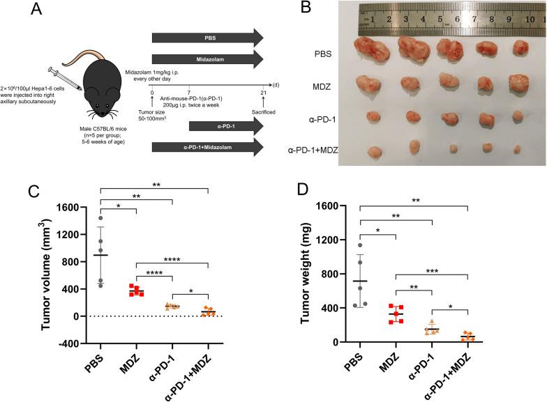 https://cdn.ncbi.nlm.nih.gov/pmc/blobs/2a90/9555186/ec486ff93d09/12935_2022_2735_Fig4_HTML.jpg