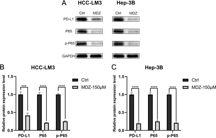 https://cdn.ncbi.nlm.nih.gov/pmc/blobs/2a90/9555186/f9772031b434/12935_2022_2735_Fig3_HTML.jpg