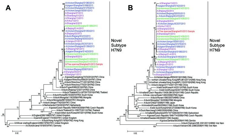 https://cdn.ncbi.nlm.nih.gov/pmc/blobs/2a91/4012817/ca4ab4a10324/13-1707-F2.jpg