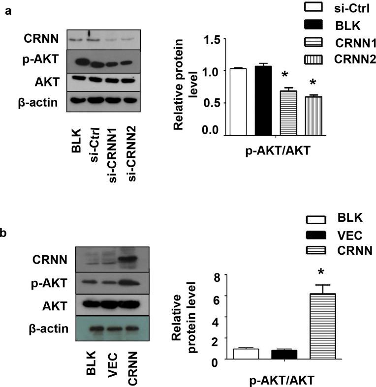 https://cdn.ncbi.nlm.nih.gov/pmc/blobs/2a97/11410236/6fe7e93046ce/pone.0308243.g005.jpg