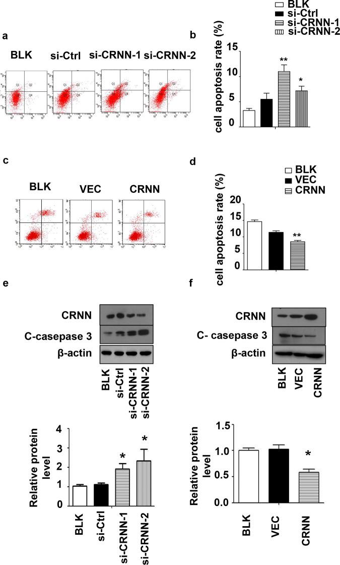 https://cdn.ncbi.nlm.nih.gov/pmc/blobs/2a97/11410236/a703da61b512/pone.0308243.g003.jpg
