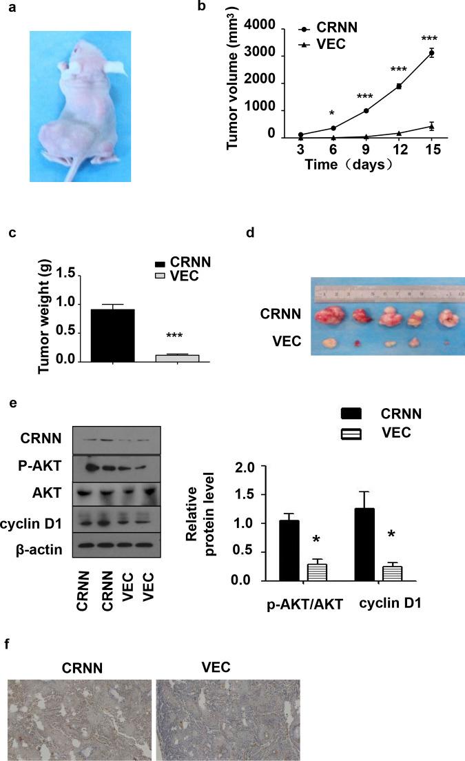https://cdn.ncbi.nlm.nih.gov/pmc/blobs/2a97/11410236/bb46c34c5989/pone.0308243.g006.jpg