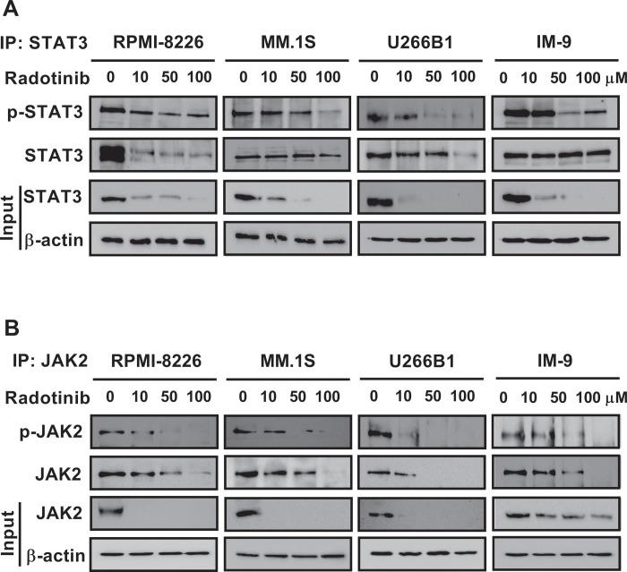 https://cdn.ncbi.nlm.nih.gov/pmc/blobs/2a98/9064077/60ae57a79960/pone.0265958.g003.jpg