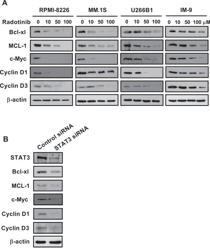 https://cdn.ncbi.nlm.nih.gov/pmc/blobs/2a98/9064077/787cfee897e2/pone.0265958.g004.jpg