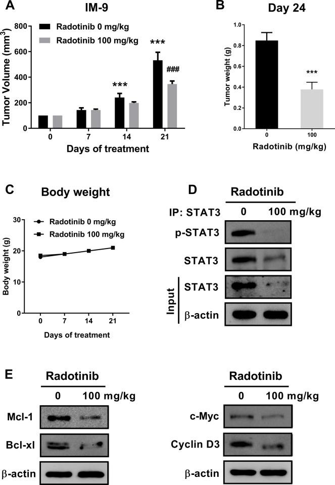 https://cdn.ncbi.nlm.nih.gov/pmc/blobs/2a98/9064077/cec79d696f35/pone.0265958.g005.jpg