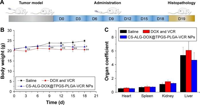 https://cdn.ncbi.nlm.nih.gov/pmc/blobs/2a99/5360411/3c6f4b345205/ijn-12-2081Fig7.jpg