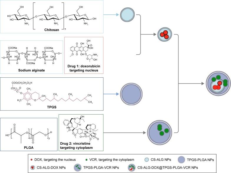https://cdn.ncbi.nlm.nih.gov/pmc/blobs/2a99/5360411/676f5d223749/ijn-12-2081Fig1.jpg