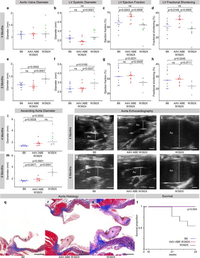 https://cdn.ncbi.nlm.nih.gov/pmc/blobs/2a9b/8277817/c5dc9a322082/41467_2021_24443_Fig4_HTML.jpg