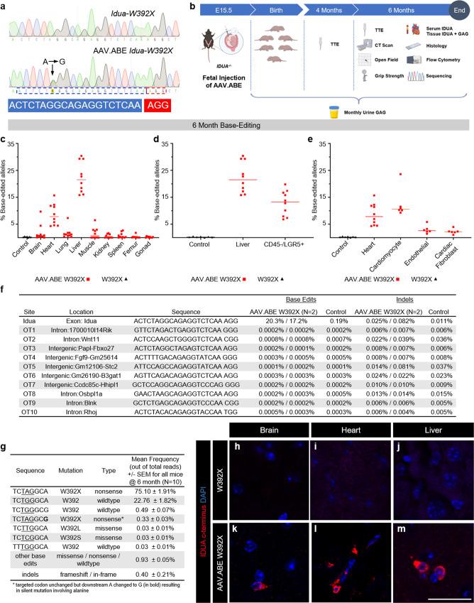 https://cdn.ncbi.nlm.nih.gov/pmc/blobs/2a9b/8277817/ffcc243209c9/41467_2021_24443_Fig1_HTML.jpg
