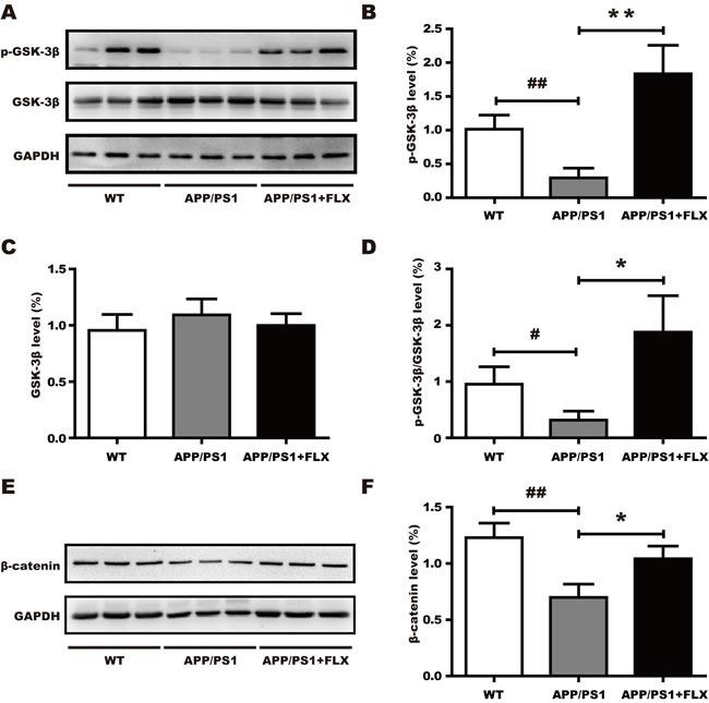 https://cdn.ncbi.nlm.nih.gov/pmc/blobs/2a9c/5438600/6c59936ba20f/oncotarget-08-27676-g004.jpg