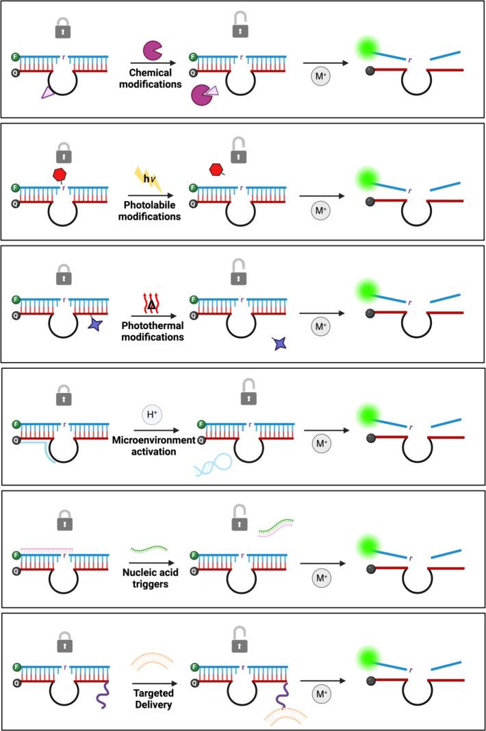 https://cdn.ncbi.nlm.nih.gov/pmc/blobs/2a9e/12381729/07c66129ec30/im4c00090_0005.jpg