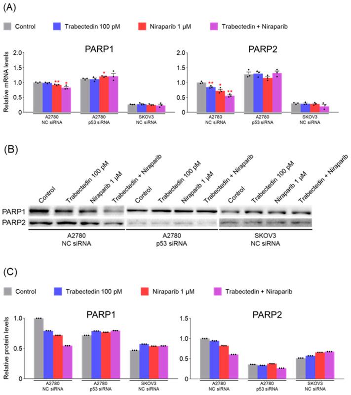 https://cdn.ncbi.nlm.nih.gov/pmc/blobs/2aa0/11989182/7012a9285a7b/ijms-26-02921-g006.jpg