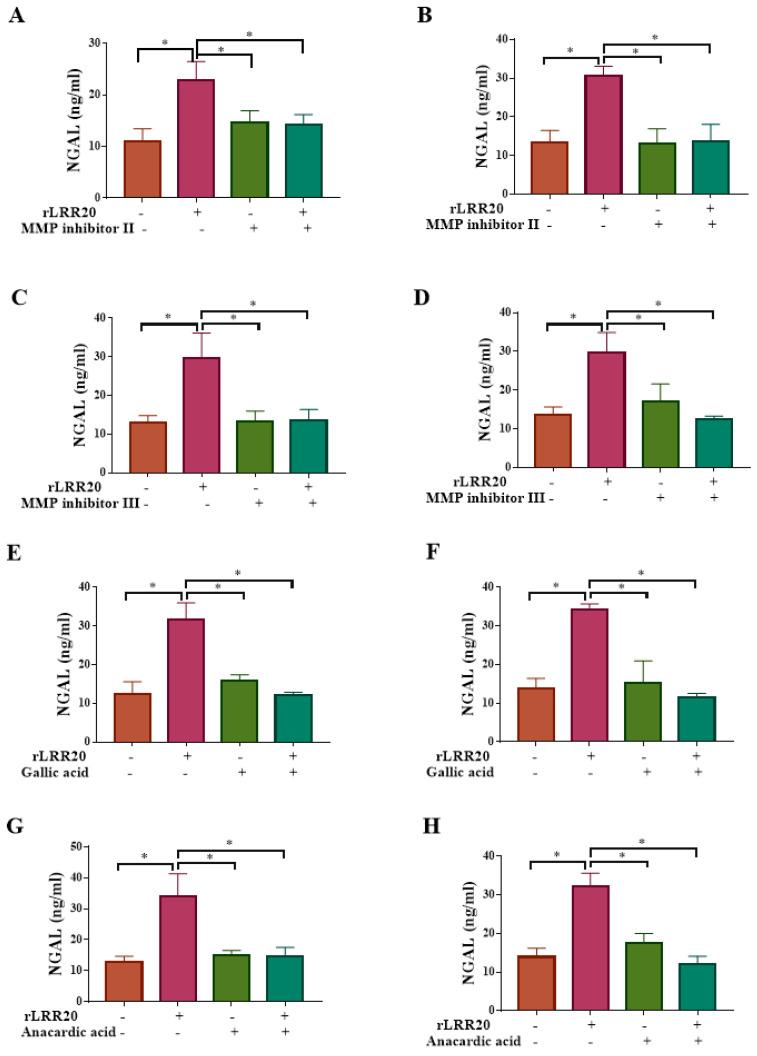 https://cdn.ncbi.nlm.nih.gov/pmc/blobs/2aa0/8658460/bb703bb2b198/ijms-22-13132-g009.jpg