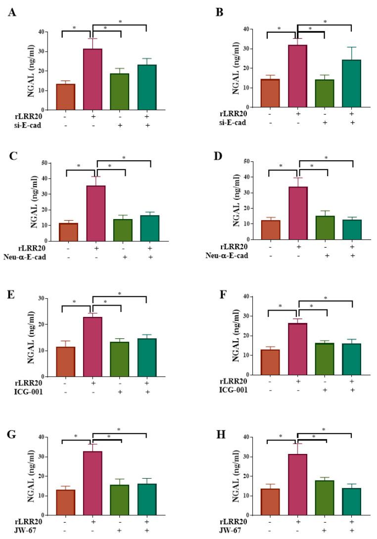 https://cdn.ncbi.nlm.nih.gov/pmc/blobs/2aa0/8658460/f45c27db41b6/ijms-22-13132-g008.jpg