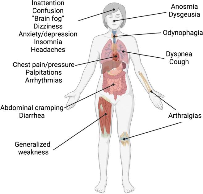 https://cdn.ncbi.nlm.nih.gov/pmc/blobs/2aa1/8237541/71afe7c3afed/11910_2021_1130_Fig1_HTML.jpg