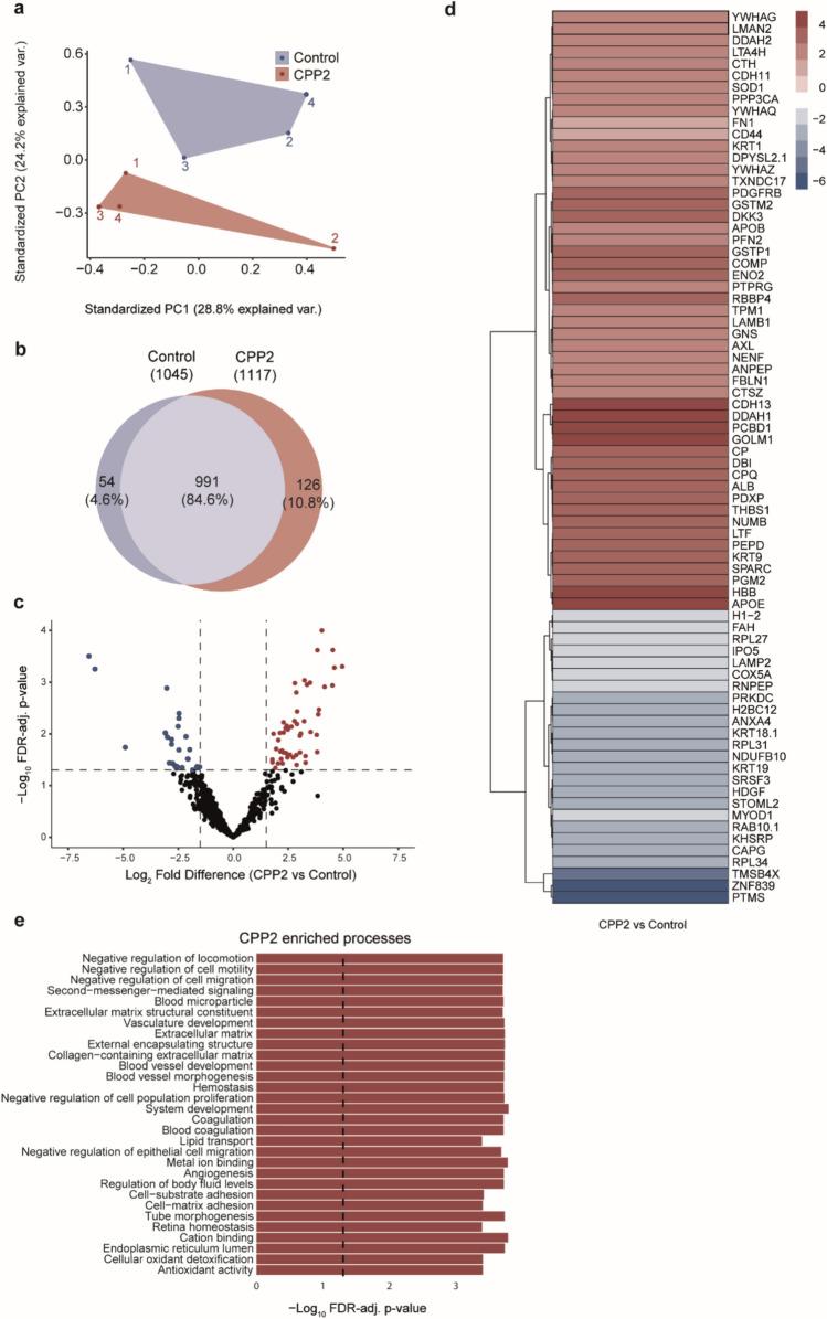 https://cdn.ncbi.nlm.nih.gov/pmc/blobs/2aa2/12033162/13d52db020eb/18_2025_5702_Fig6_HTML.jpg