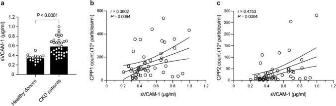 https://cdn.ncbi.nlm.nih.gov/pmc/blobs/2aa2/12033162/31c82bab722c/18_2025_5702_Fig1_HTML.jpg