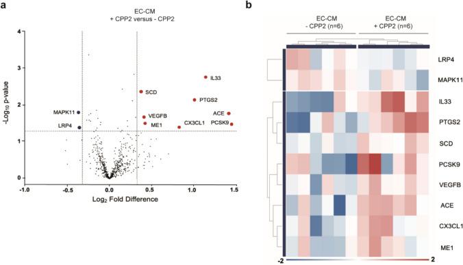 https://cdn.ncbi.nlm.nih.gov/pmc/blobs/2aa2/12033162/49f90d244675/18_2025_5702_Fig5_HTML.jpg