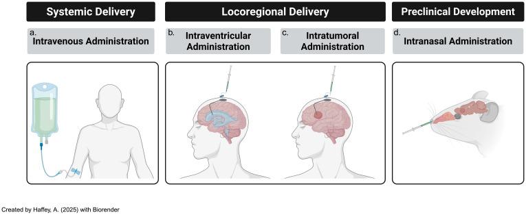 https://cdn.ncbi.nlm.nih.gov/pmc/blobs/2aa3/12222291/718a21cadd77/fimmu-16-1596499-g004.jpg