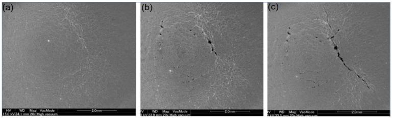 https://cdn.ncbi.nlm.nih.gov/pmc/blobs/2aa4/10217097/5d428494a5c0/entropy-25-00714-g006.jpg