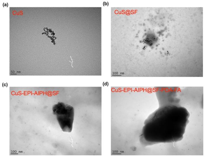 https://cdn.ncbi.nlm.nih.gov/pmc/blobs/2aa5/11820260/5f8bcec3200a/nanomaterials-15-00221-g005.jpg