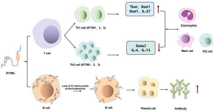 https://cdn.ncbi.nlm.nih.gov/pmc/blobs/2aa8/11512382/58b15dfdae6b/viruses-16-01543-g005.jpg