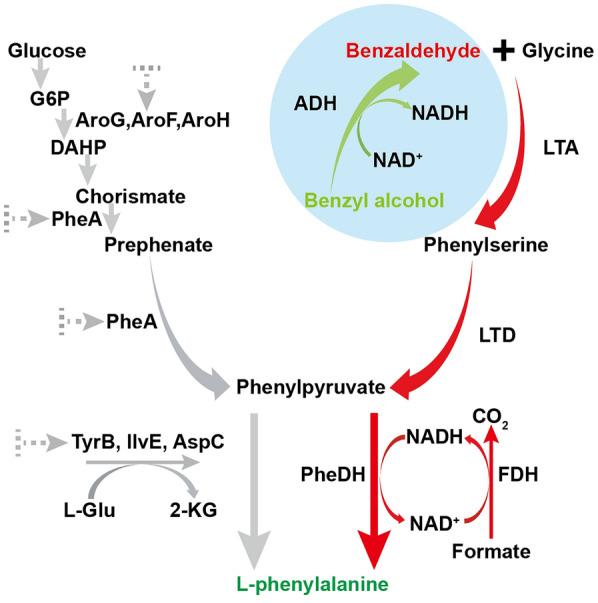 https://cdn.ncbi.nlm.nih.gov/pmc/blobs/2aa9/10768146/a4c27e3cff64/12934_2023_2282_Fig1_HTML.jpg