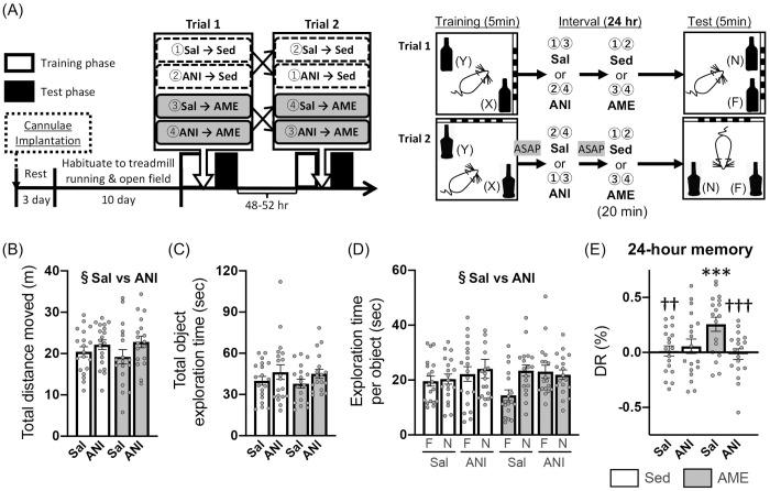 https://cdn.ncbi.nlm.nih.gov/pmc/blobs/2aa9/12273956/3bdd7c56d441/pone.0328128.g005.jpg