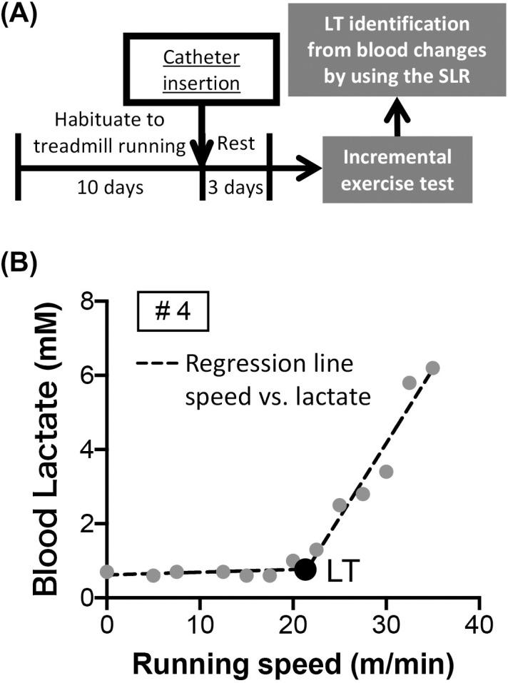https://cdn.ncbi.nlm.nih.gov/pmc/blobs/2aa9/12273956/fbd3889cafac/pone.0328128.g001.jpg
