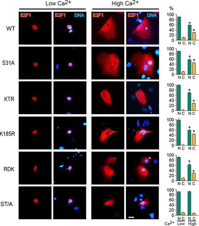 https://cdn.ncbi.nlm.nih.gov/pmc/blobs/2aaa/5354885/f15ab7a0d421/oncotarget-08-4977-g002.jpg
