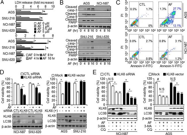 https://cdn.ncbi.nlm.nih.gov/pmc/blobs/2aae/5356740/2e3a681c5912/oncotarget-07-85332-g002.jpg