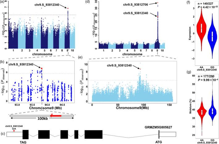 https://cdn.ncbi.nlm.nih.gov/pmc/blobs/2ab1/11385881/db61fac9a195/PBI-19-1195-g006.jpg