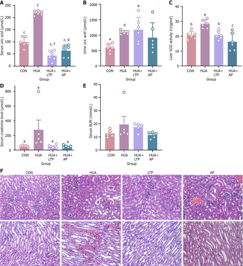 https://cdn.ncbi.nlm.nih.gov/pmc/blobs/2ab2/11326090/5844be614760/WJG-30-3488-g001.jpg