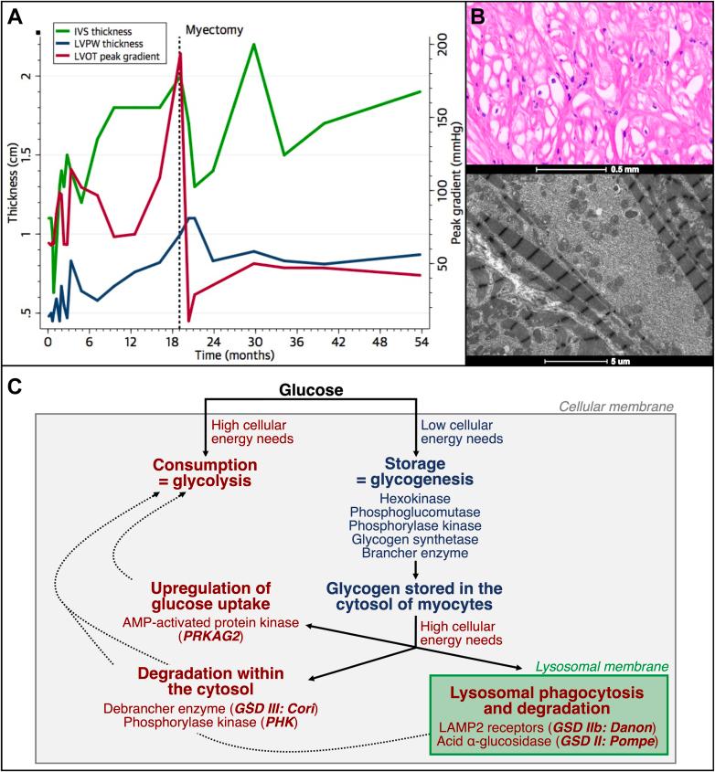 https://cdn.ncbi.nlm.nih.gov/pmc/blobs/2ab3/11524951/333929e61fc3/gr1.jpg