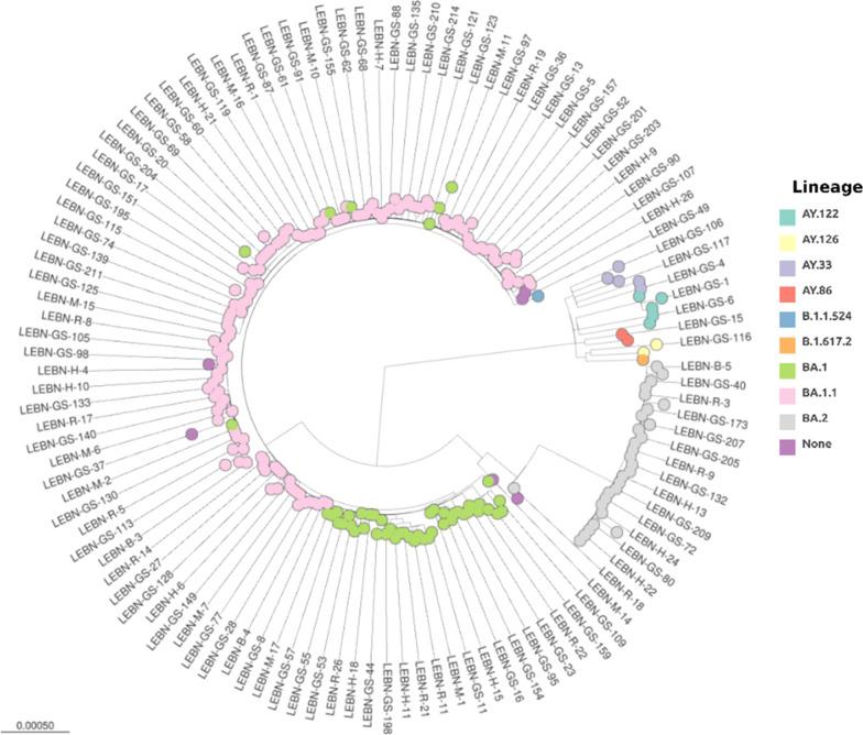 https://cdn.ncbi.nlm.nih.gov/pmc/blobs/2ab4/9881352/1676c001b308/12920_2023_1443_Fig1_HTML.jpg