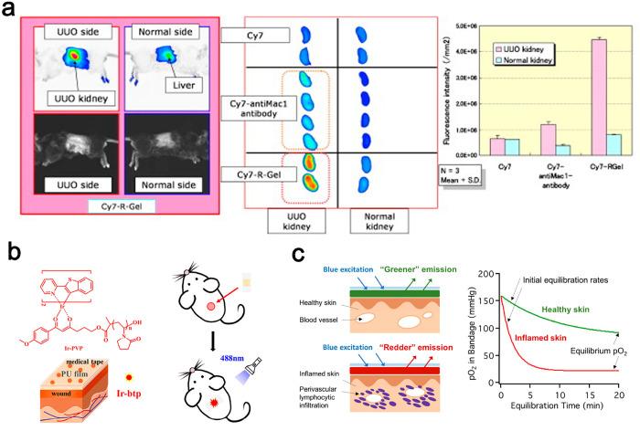https://cdn.ncbi.nlm.nih.gov/pmc/blobs/2ab5/11503926/be6107530149/im3c00039_0007.jpg