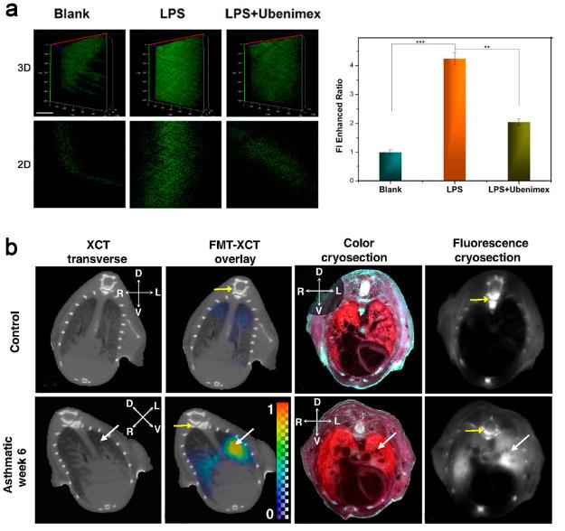 https://cdn.ncbi.nlm.nih.gov/pmc/blobs/2ab5/11503926/edb57ab61bf6/im3c00039_0003.jpg