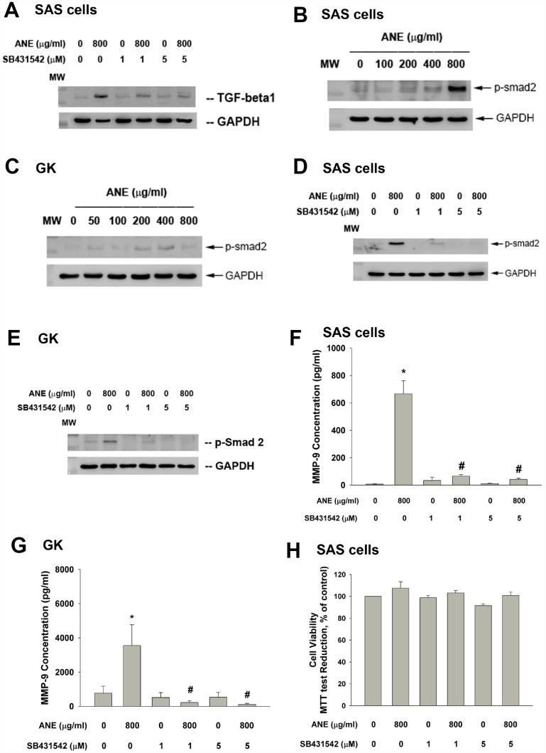 https://cdn.ncbi.nlm.nih.gov/pmc/blobs/2ab7/6932916/64243f0e4ebe/aging-11-102565-g002.jpg