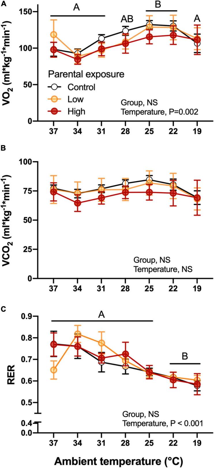 https://cdn.ncbi.nlm.nih.gov/pmc/blobs/2ab7/8063051/2febb5ee65a6/fphys-12-661943-g006.jpg