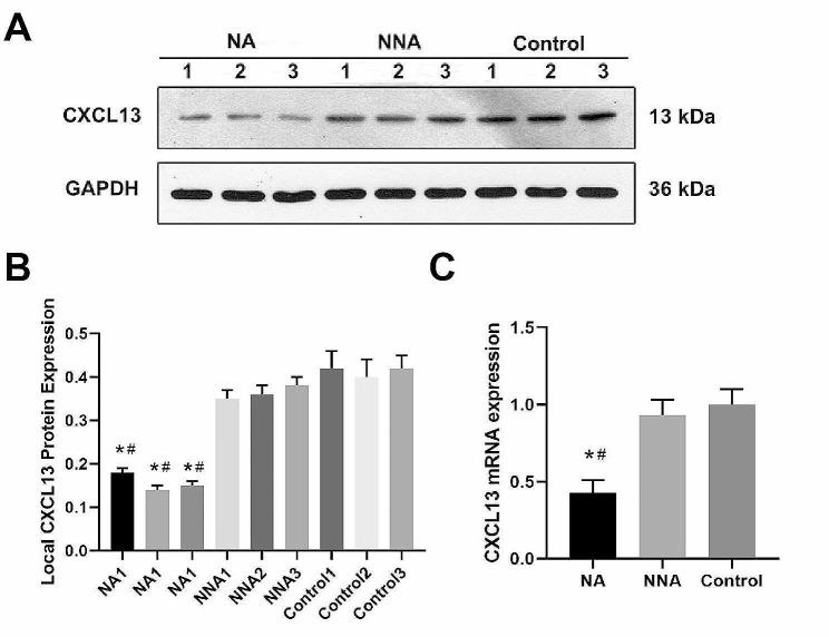 https://cdn.ncbi.nlm.nih.gov/pmc/blobs/2ab8/10908116/75077e33d92d/13018_2024_4645_Fig2_HTML.jpg